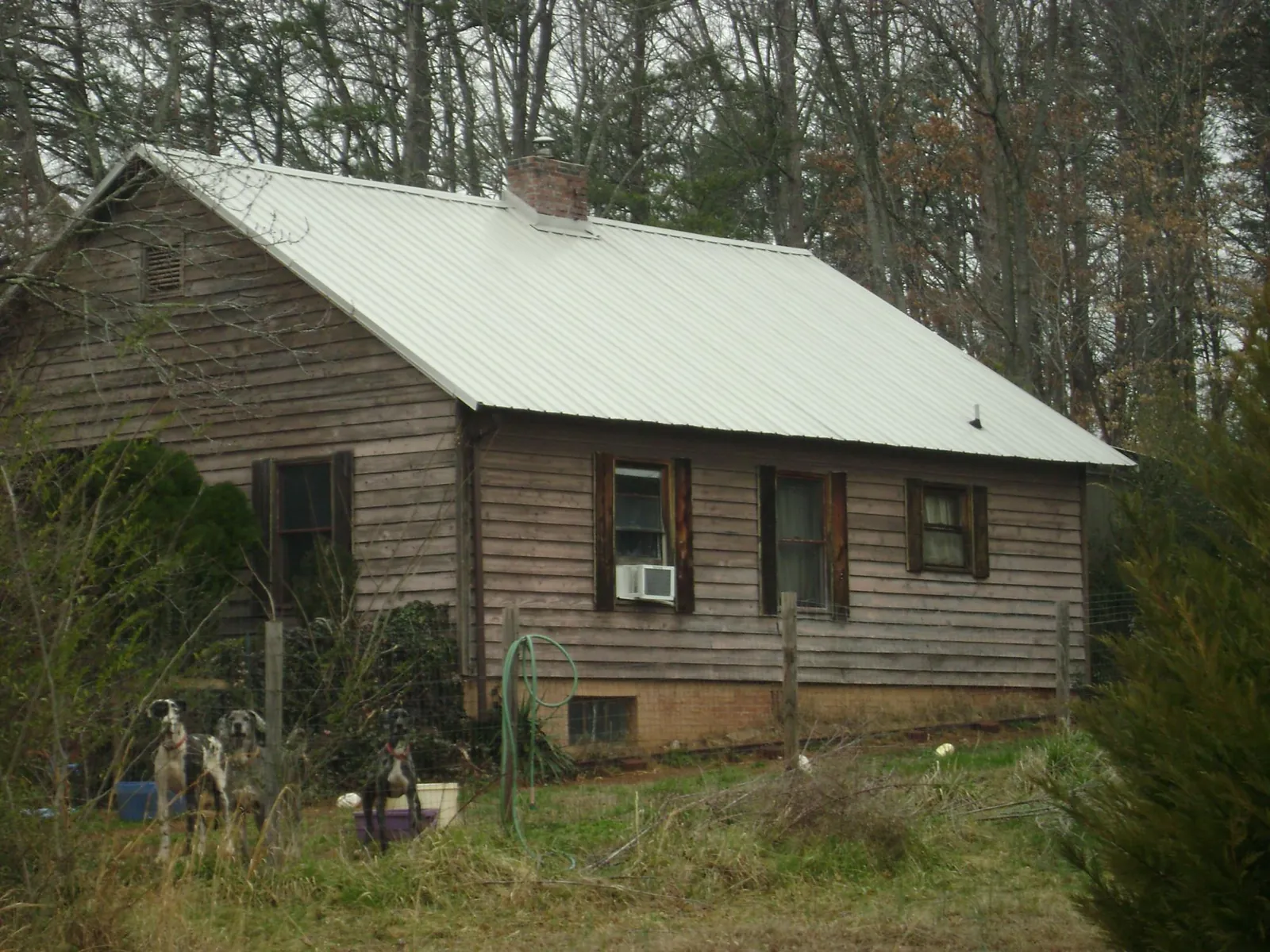White metal roof on an old wood sided farmhouse, from a Asphalt Shingle Roof Repair job in Bergheim